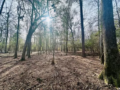 tbd Junior Magee Rd, Mendenhall, MS 39114 photo 7