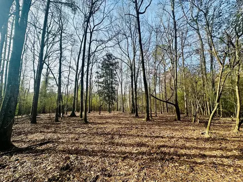tbd Junior Magee Rd, Mendenhall, MS 39114 photo 6