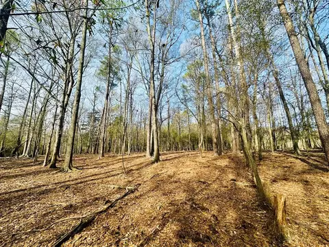 tbd Junior Magee Rd, Mendenhall, MS 39114