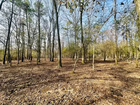 tbd Junior Magee Rd, Mendenhall, MS 39114 photo 9
