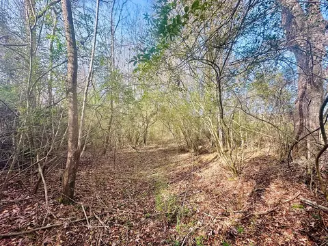 tbd Junior Magee Rd, Mendenhall, MS 39114 photo 10