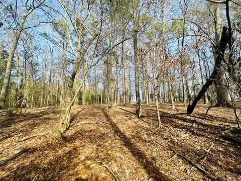tbd Junior Magee Rd, Mendenhall, MS 39114 photo 8