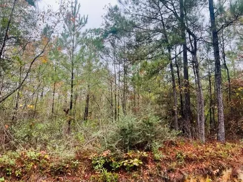 tbd Hinson Rd, Tylertown, MS 39667