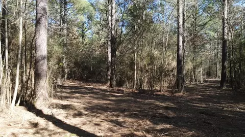 lot Apt 3 Monticello Rd, Wesson, MS 39191 photo 6