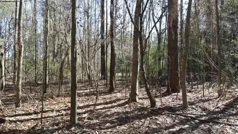 lot Apt 3 Monticello Rd, Wesson, MS 39191 photo 9
