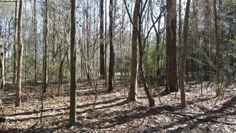 lot Apt 5 Monticello Rd, Wesson, MS 39191