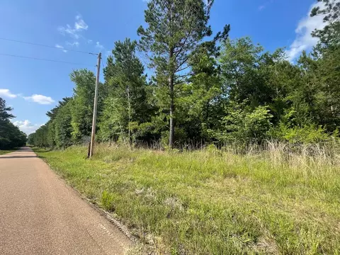 367 Permenter Rd, Canton, MS 39051 photo 5