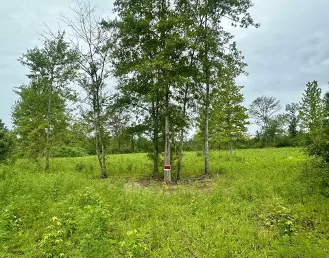 tbd Bahalia Rd NE, Wesson, MS 39191