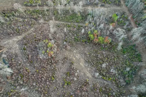 tbd Bahalia Rd NE, Wesson, MS 39191 photo 14