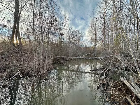 tbd Bahalia Rd NE, Wesson, MS 39191 photo 22