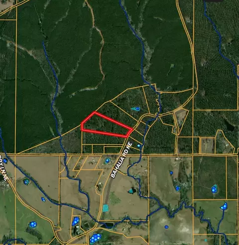 tbd Bahalia Rd NE, Wesson, MS 39191 photo 28