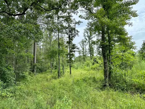 tbd Bahalia Rd NE, Wesson, MS 39191 photo 19