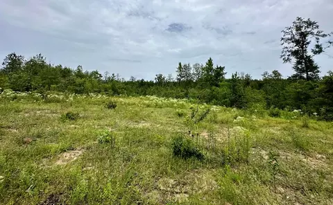 tbd Bahalia Rd NE, Wesson, MS 39191 photo 9