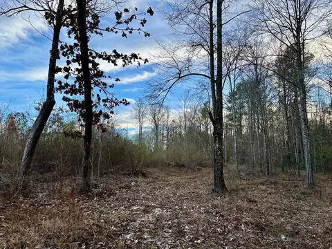 tbd Bahalia Rd NE, Wesson, MS 39191 photo 17
