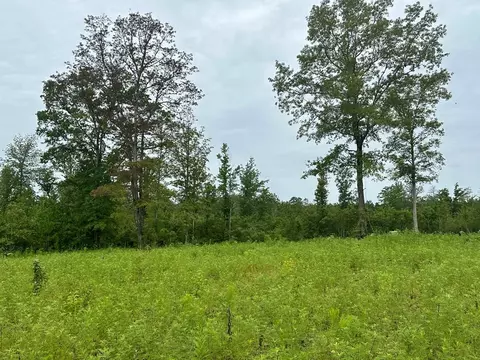 tbd Bahalia Rd NE, Wesson, MS 39191 photo 25