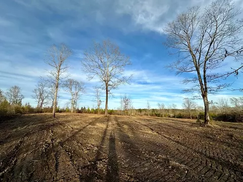 tbd Bahalia Rd NE, Wesson, MS 39191 photo 5