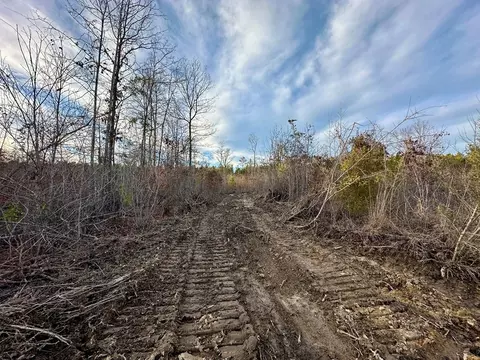 tbd Bahalia Rd NE, Wesson, MS 39191 photo 21