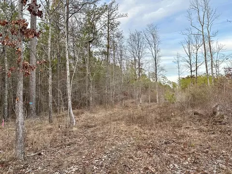 tbd Bahalia Rd NE, Wesson, MS 39191 photo 18