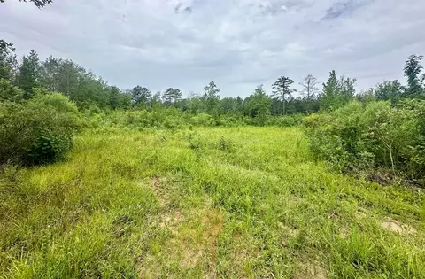 tbd Bahalia Rd NE, Wesson, MS 39191 photo 12