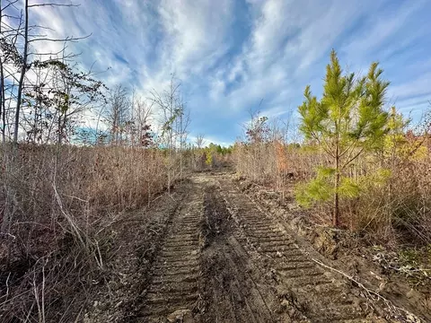 tbd Bahalia Rd NE, Wesson, MS 39191 photo 20