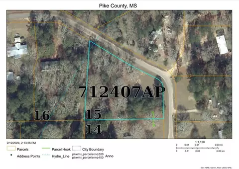 1044 Summer Oak Ln, Summit, MS 39666 photo 2