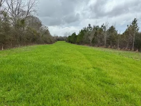 43443 Jackson Brumfield Rd, Franklinton, LA 70438