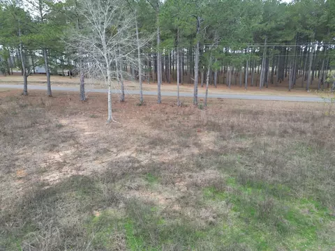 000 Johnston Chapel Rd, Summit, MS 39666 photo 4