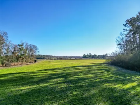 766 Clem Rd, Mount Olive, MS 39119 photo 19