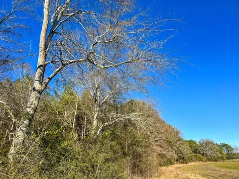 766 Clem Rd, Mount Olive, MS 39119 photo 20