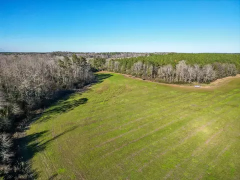 766 Clem Rd, Mount Olive, MS 39119 photo 5