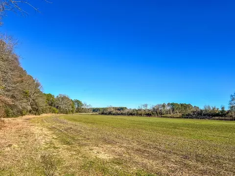 766 Clem Rd, Mount Olive, MS 39119 photo 21