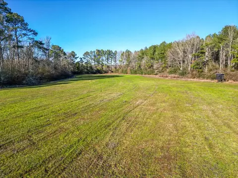 766 Clem Rd, Mount Olive, MS 39119 photo 9