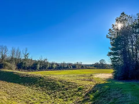 766 Clem Rd, Mount Olive, MS 39119 photo 24