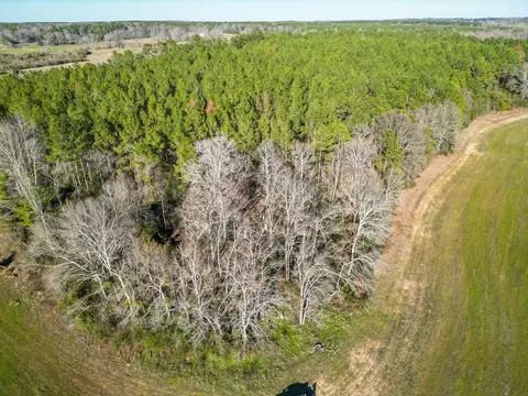 766 Clem Rd, Mount Olive, MS 39119 photo 11