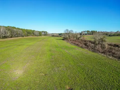 766 Clem Rd, Mount Olive, MS 39119 photo 10