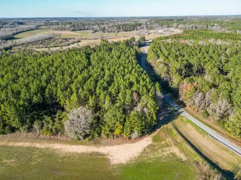 766 Clem Rd, Mount Olive, MS 39119 photo 14
