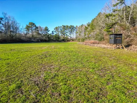 766 Clem Rd, Mount Olive, MS 39119 photo 8