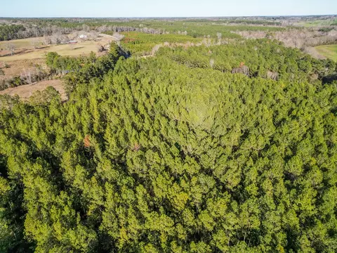 766 Clem Rd, Mount Olive, MS 39119 photo 16
