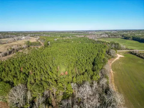 766 Clem Rd, Mount Olive, MS 39119 photo 12