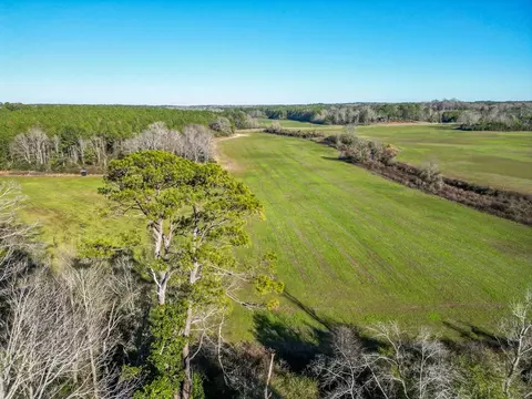 766 Clem Rd, Mount Olive, MS 39119 photo 4