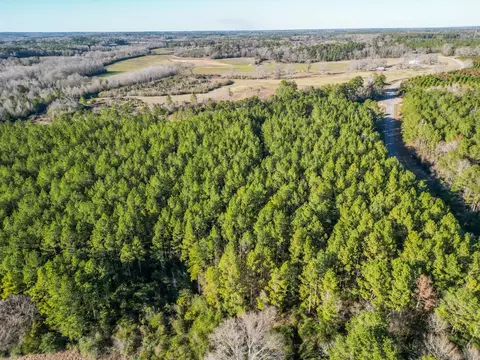766 Clem Rd, Mount Olive, MS 39119 photo 15