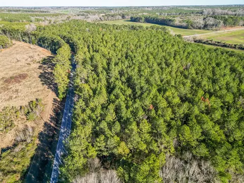766 Clem Rd, Mount Olive, MS 39119 photo 18