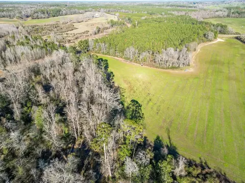 766 Clem Rd, Mount Olive, MS 39119 photo 7
