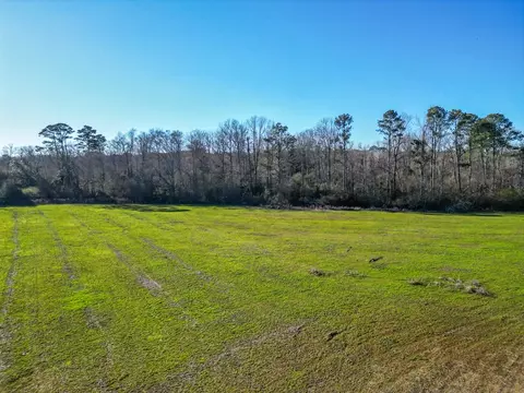 766 Clem Rd, Mount Olive, MS 39119 photo 2