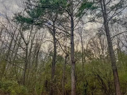 931 Williams St, Brookhaven, MS 39601 photo 3
