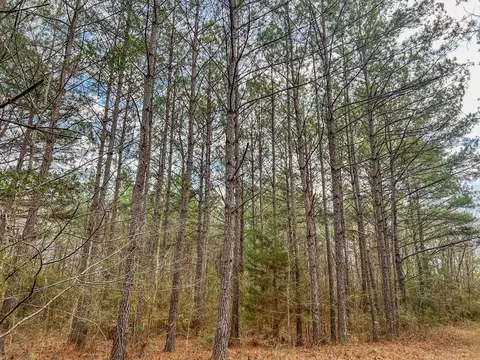931 Williams St, Brookhaven, MS 39601 photo 12