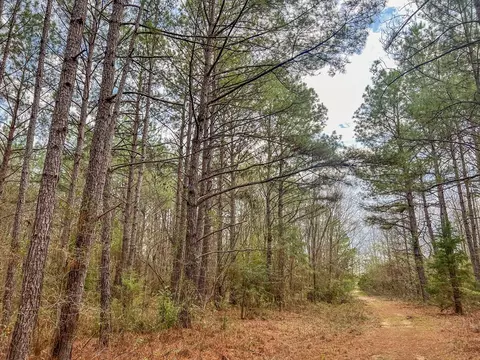931 Williams St, Brookhaven, MS 39601 photo 15
