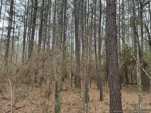 3150 Topisaw Dr, Ruth, MS 39662 photo 8