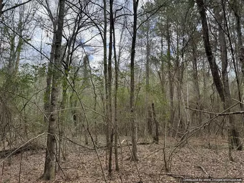 3150 Topisaw Dr, Ruth, MS 39662 photo 10