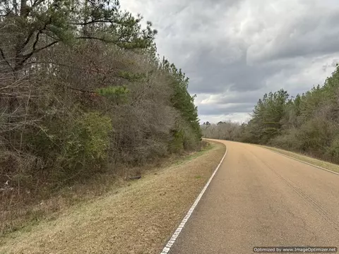 3150 Topisaw Dr, Ruth, MS 39662 photo 5